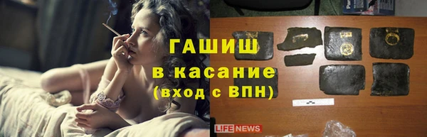 гашик Алексин