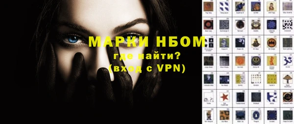 гашик Алексин