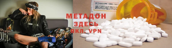 гашик Алексин